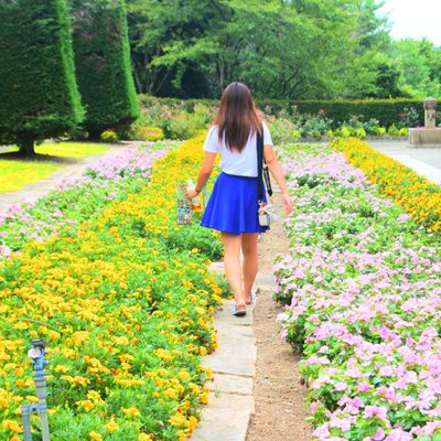 滋賀農業公園ブルーメの丘