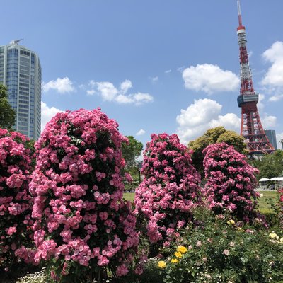 東京タワー