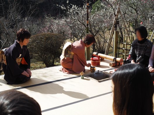 成田山公園内梅林