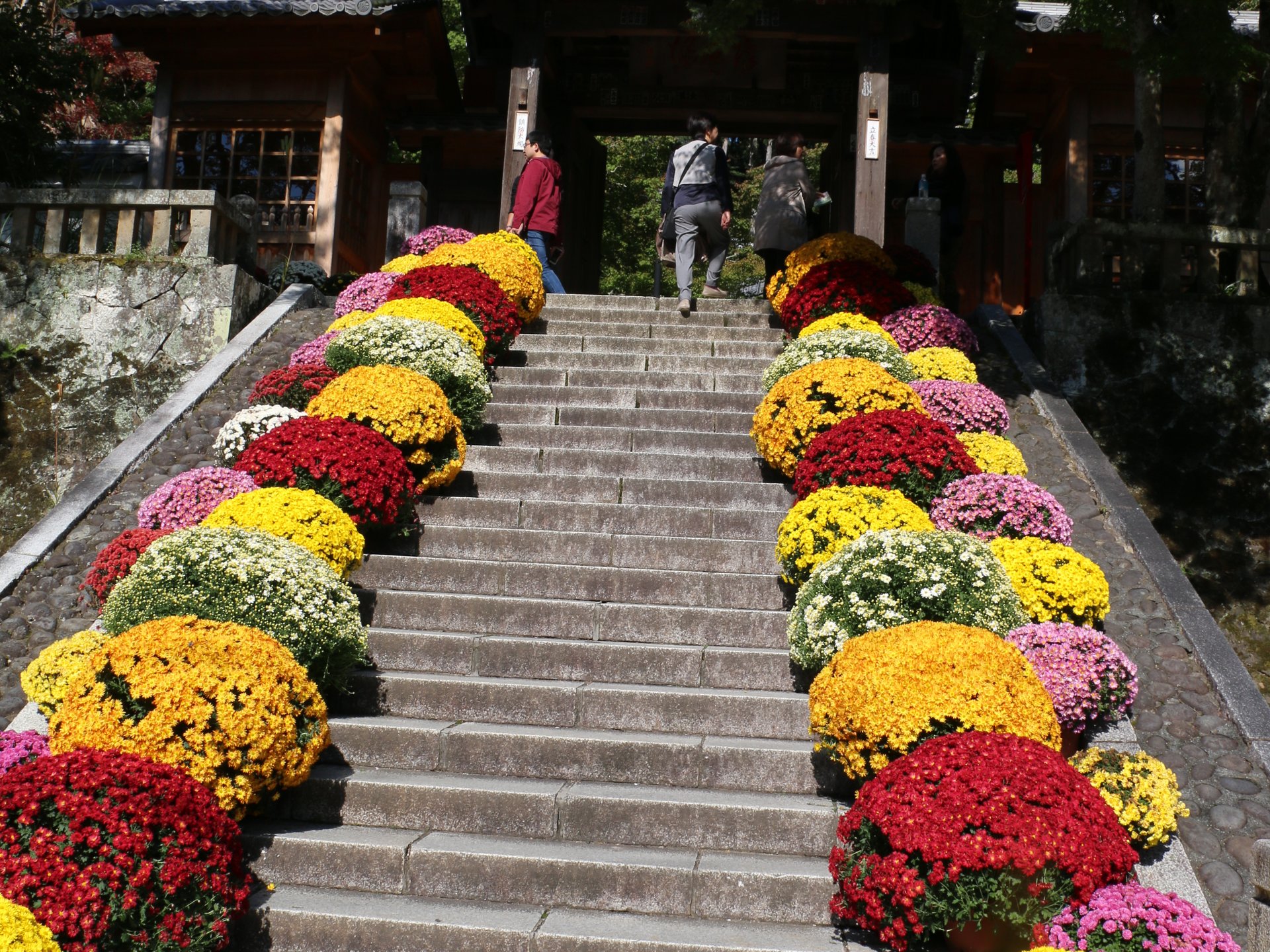 【静岡・伊豆】伊豆の小京都！修善寺温泉の由来にもなったお寺をお詣りしよう♪