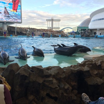 名古屋港水族館