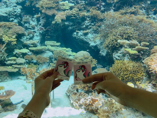 沖縄美ら海水族館