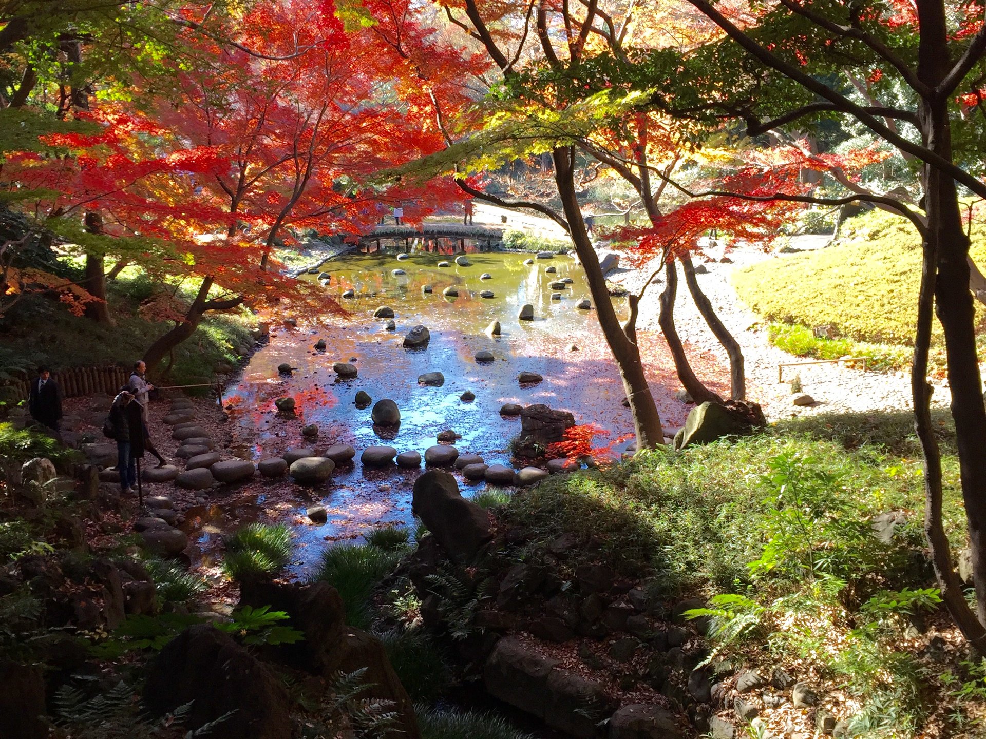 神々しい都内の絶景！今すぐ行って！紅葉を楽しみながらの散歩やロマンチックなデートに♪小石川後楽園