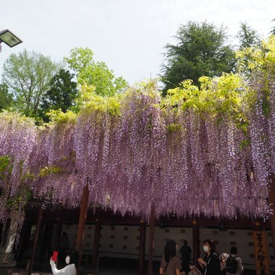 笠間稲荷神社