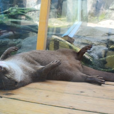 鳥羽水族館