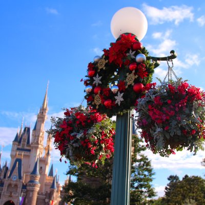 東京ディズニーランド(c)