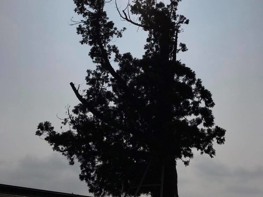 吉備津彦神社