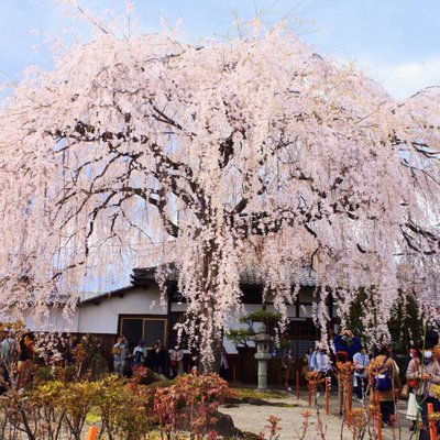 本満寺