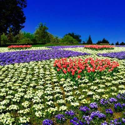 鳥取県立フラワーパークとっとり花回廊