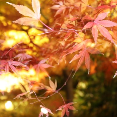 ホテル雅叙園東京（旧目黒雅叙園）