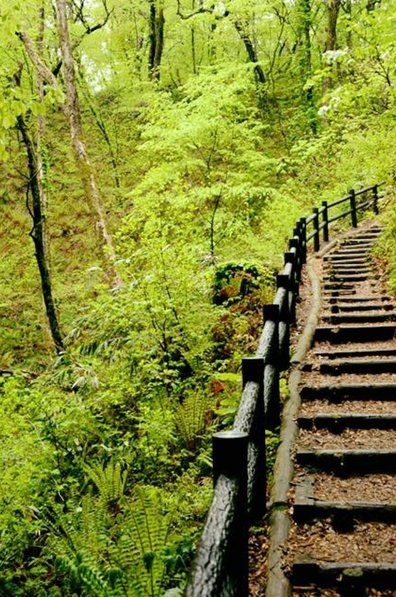 白神山地 (青森県)