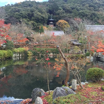 永観堂(禅林寺)