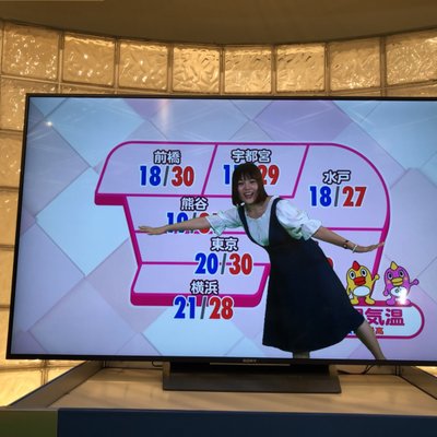 日本テレビタワー (日テレプラザ)