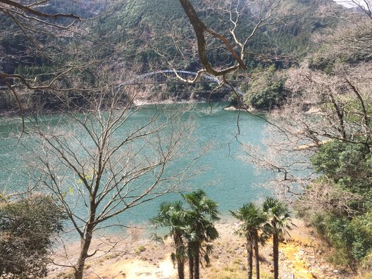 入之波温泉 山鳩湯