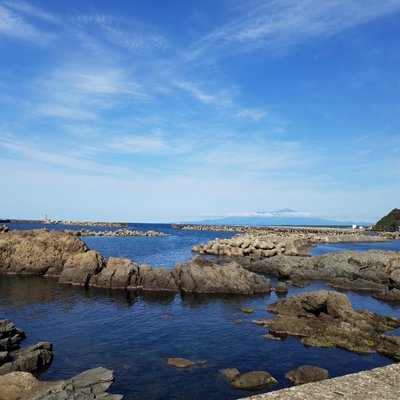 鶴岡市立加茂水族館