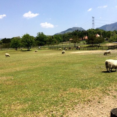 滋賀農業公園ブルーメの丘