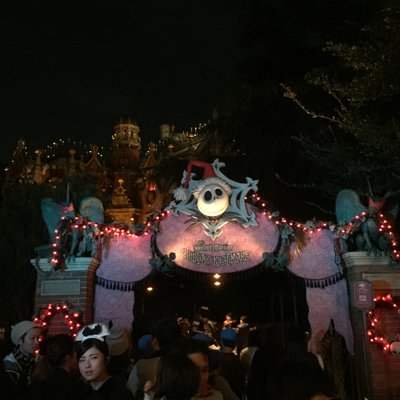 東京ディズニーランド(c)