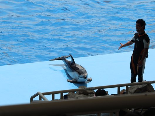 名古屋港水族館