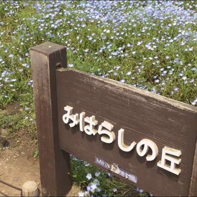 国営ひたち海浜公園