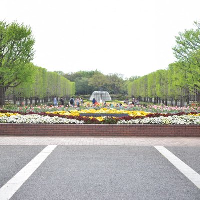 国営昭和記念公園