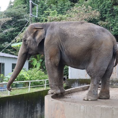 宇都宮動物園