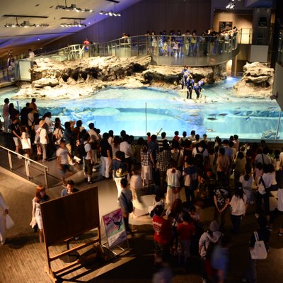 すみだ水族館