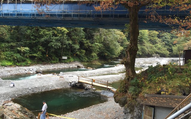 氷川国際ます釣場