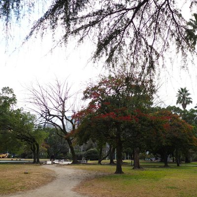 須崎公園