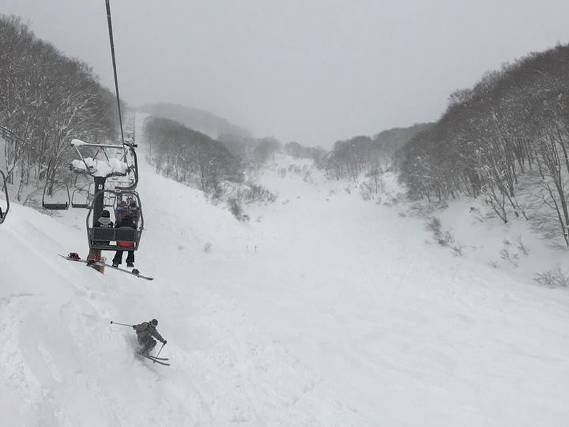 白馬山麓つがいけ高原・栂池高原スキー場