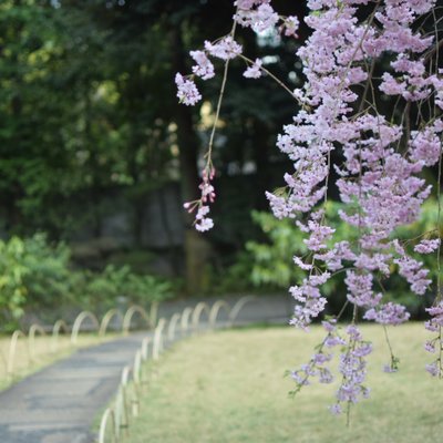 根津美術館