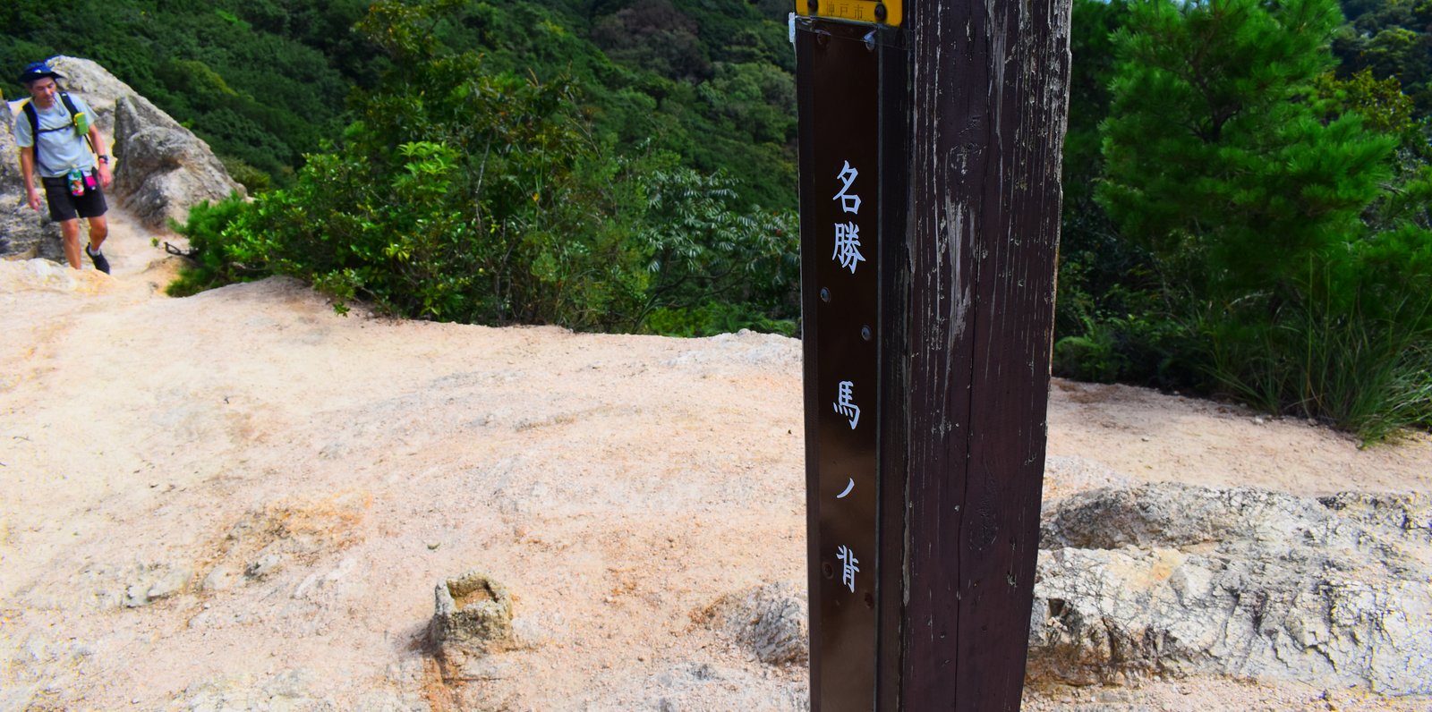 馬の背 (須磨アルプス)