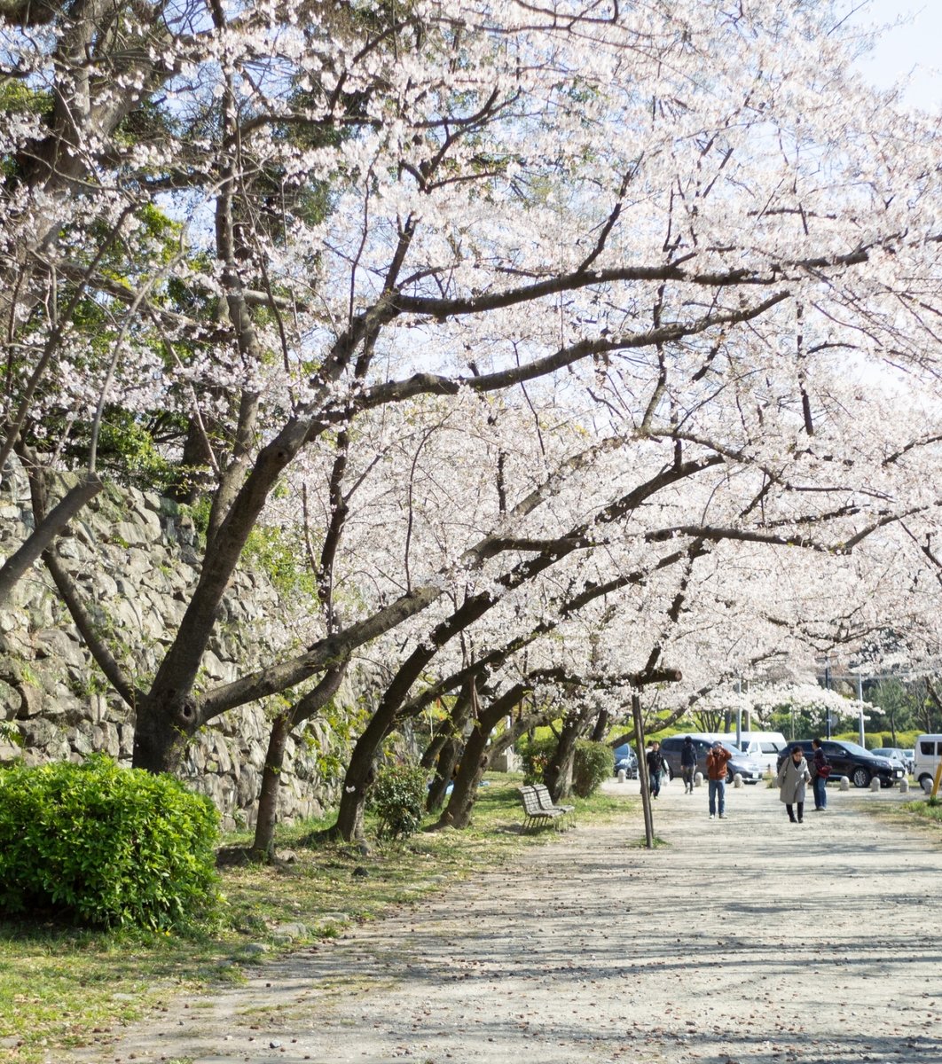 大濠公園