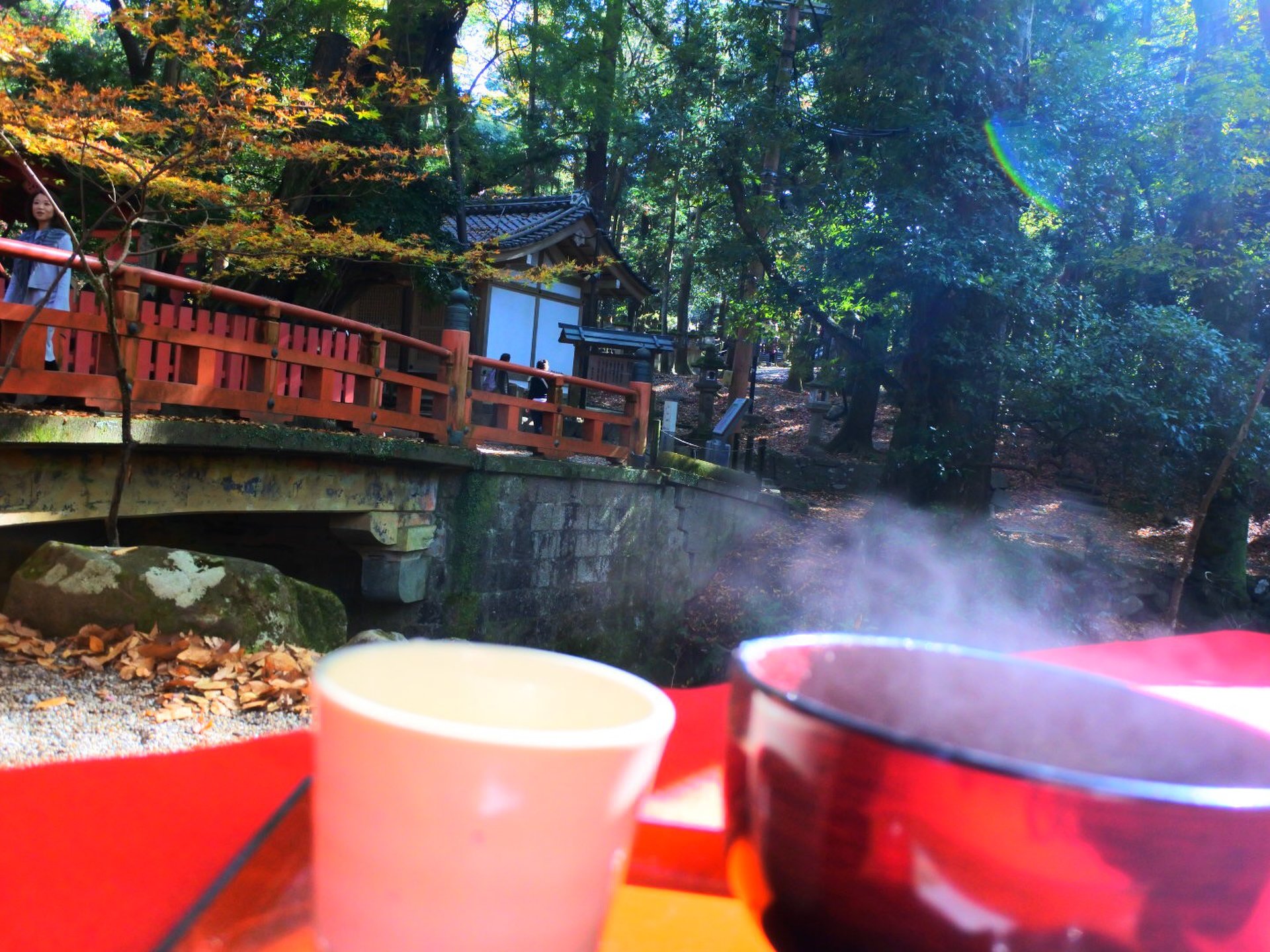 【穴場・紅葉】鹿にも会える！二月堂から春日神社へ向かうなら絶対に寄って欲しいお茶屋さん！