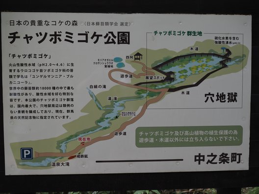 チャツボミゴケ公園