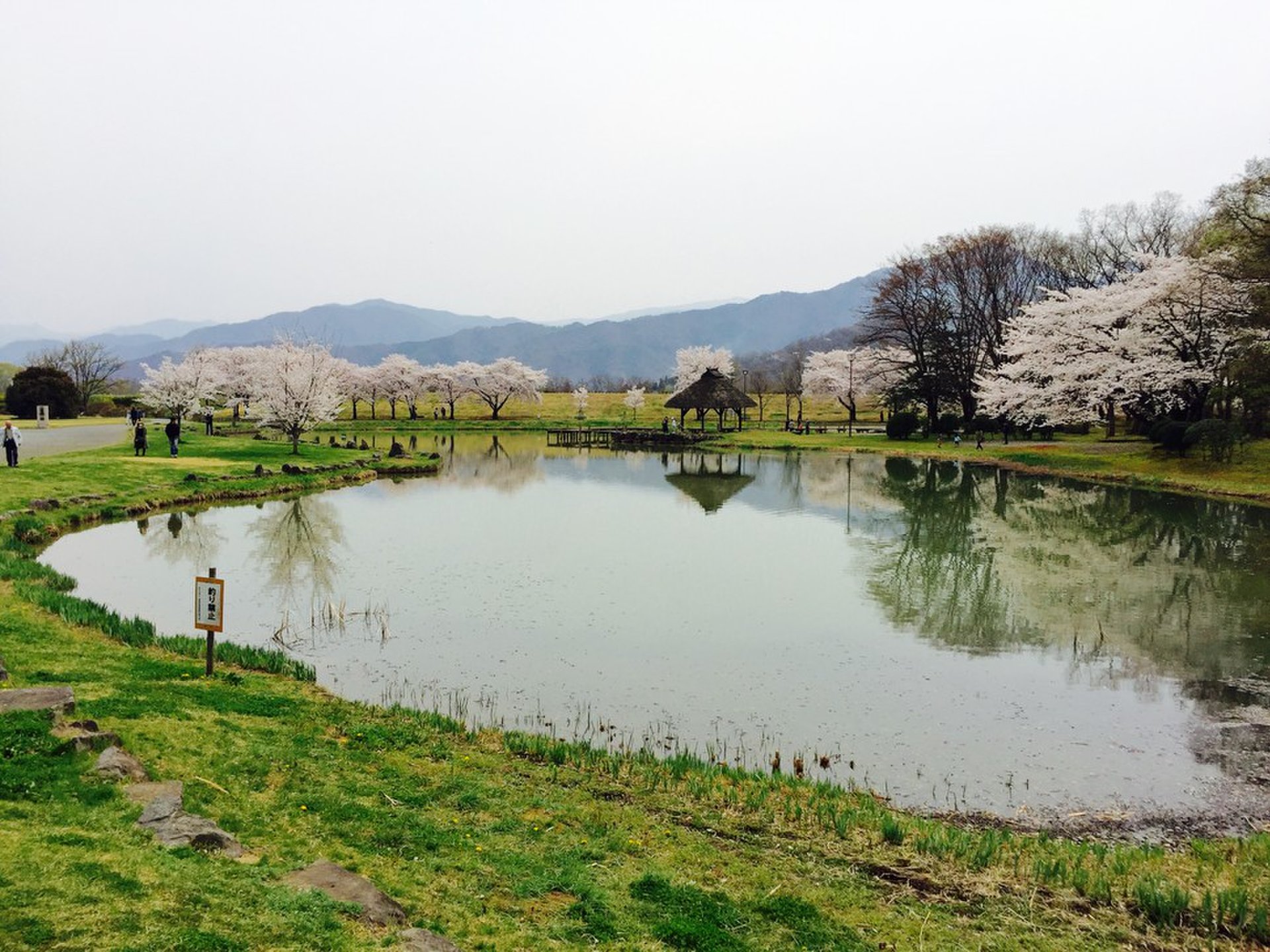 八幡原史跡公園 川中島古戦場