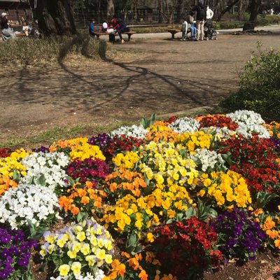 井の頭恩賜公園