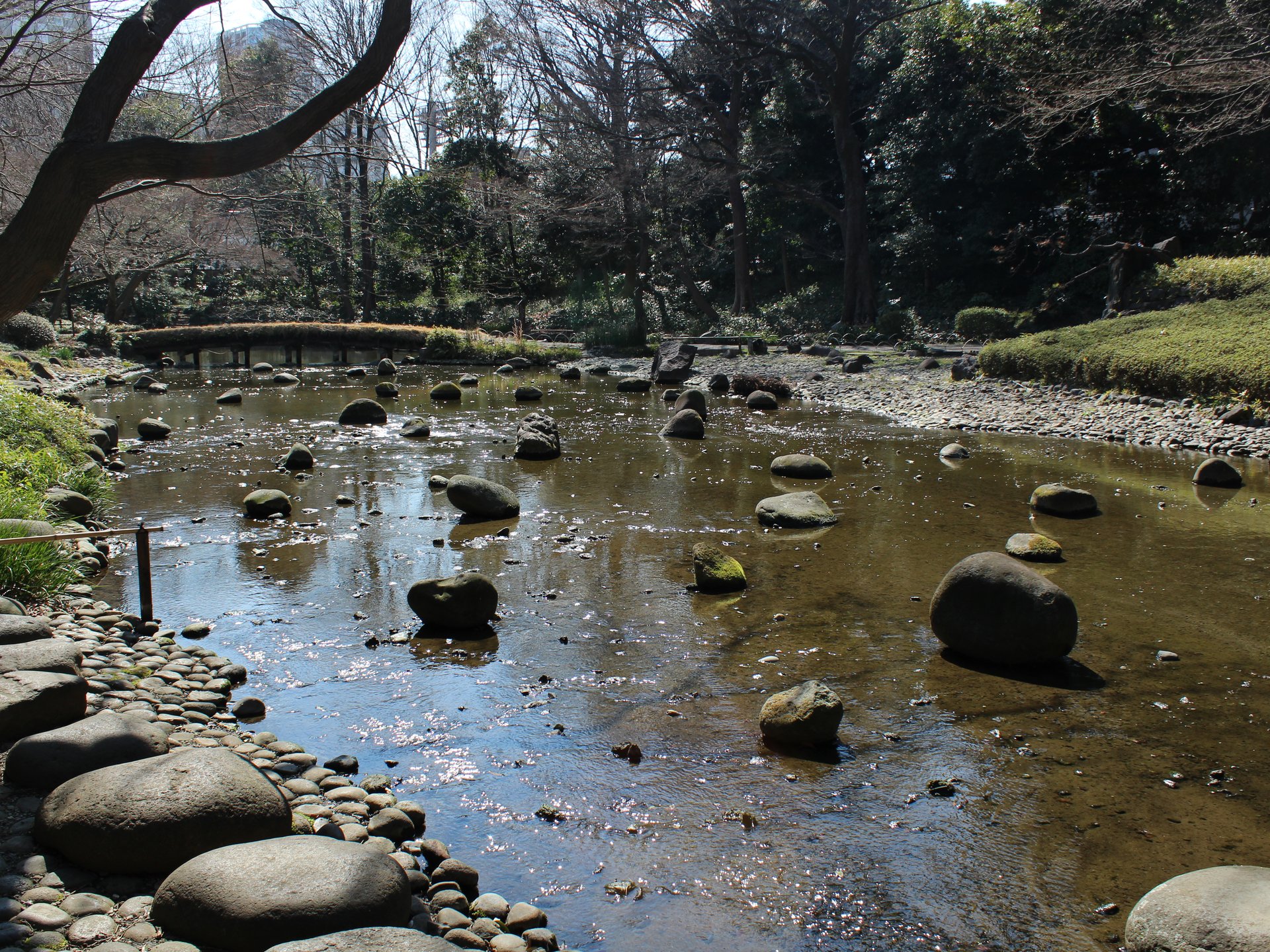 公園初心者でもおすすめ！自然に触れて癒されたいなら小石川後楽園へ。