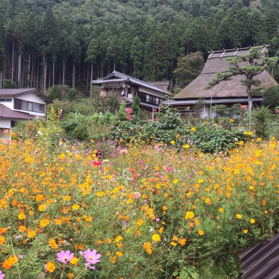 かやぶきの里