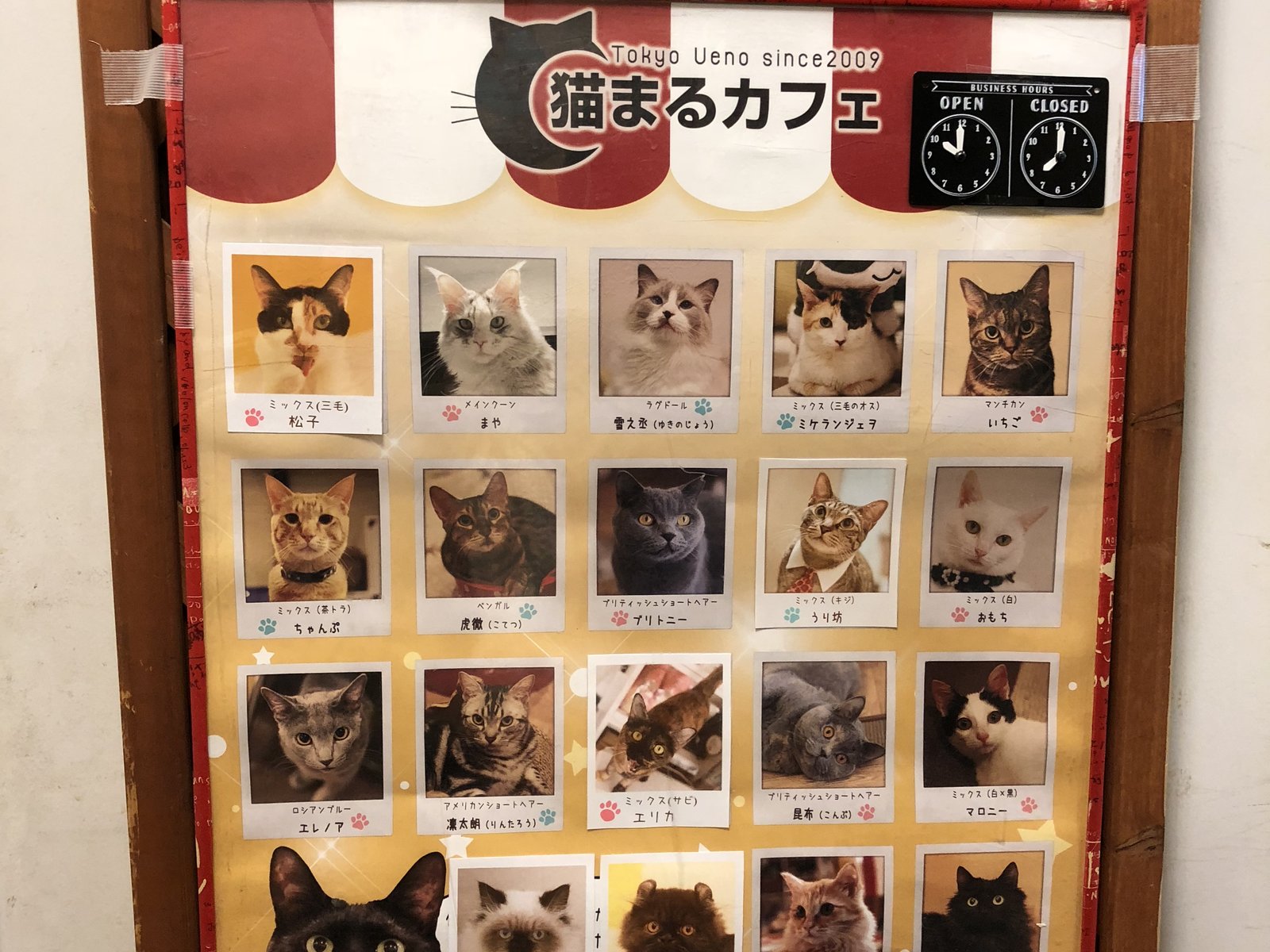 猫まるカフェ