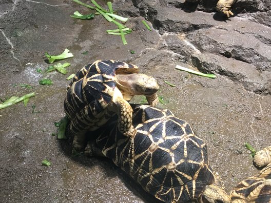 サンシャイン水族館