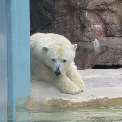 静岡市立日本平動物園レストハウス