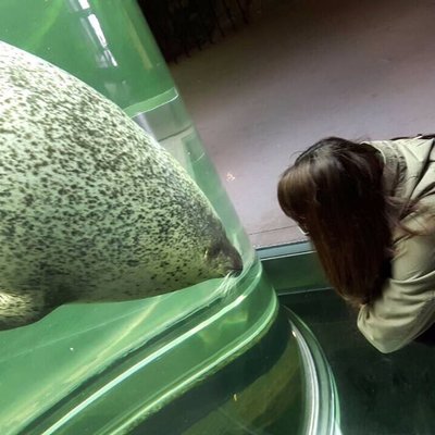 旭川市旭山動物園