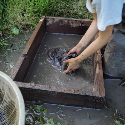 あきら染色・工芸