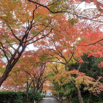 高円寺