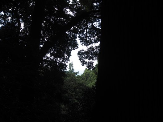 鷲子山上神社