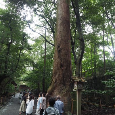 伊勢神宮内宮(皇大神宮)