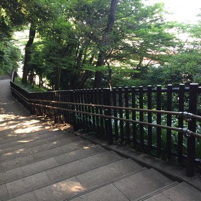 飛鳥山公園