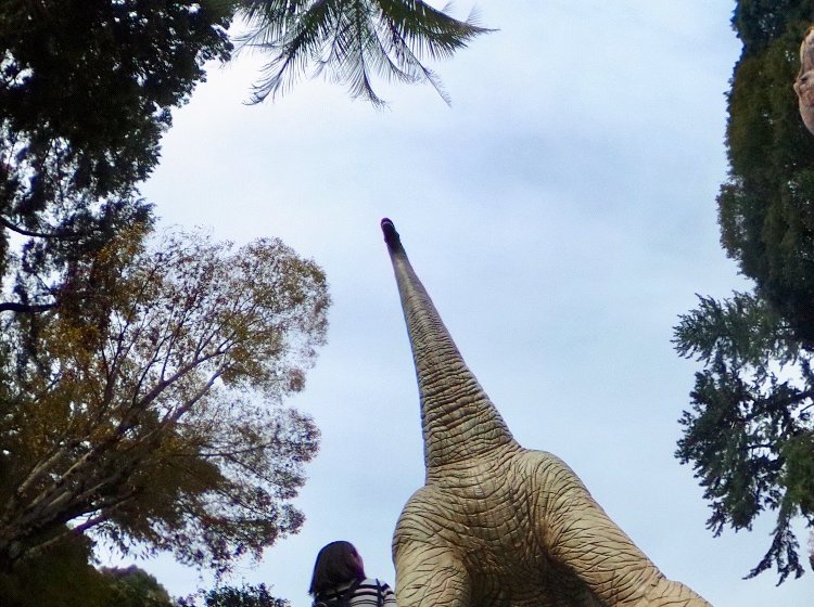 無料の動物園と大迫力の恐竜 岡崎にある東公園は愛知で人気のお出かけスポット Playlife プレイライフ