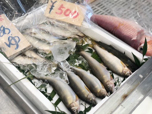 道の駅 うみんぴあ大飯 特産品販売所