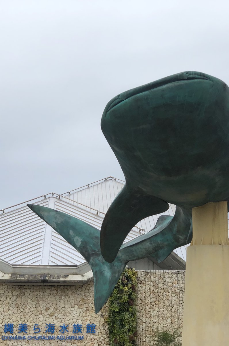 沖縄美ら海水族館